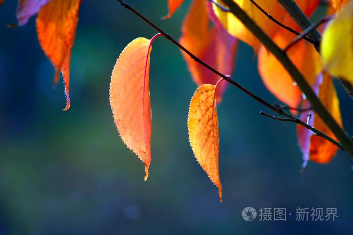 人妻与快递员HD三级,亚洲精品视频区,天堂中文一区二区在线观看