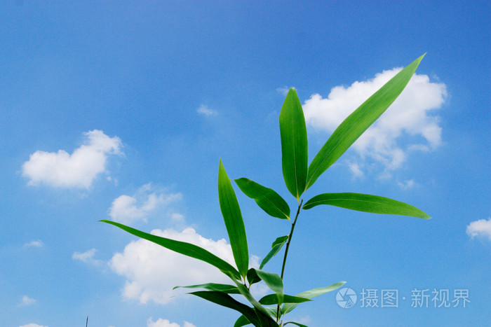 免费一级毛片在播放视频,国产精品国产三级国产专区不,情欲戏第一场滑进去H